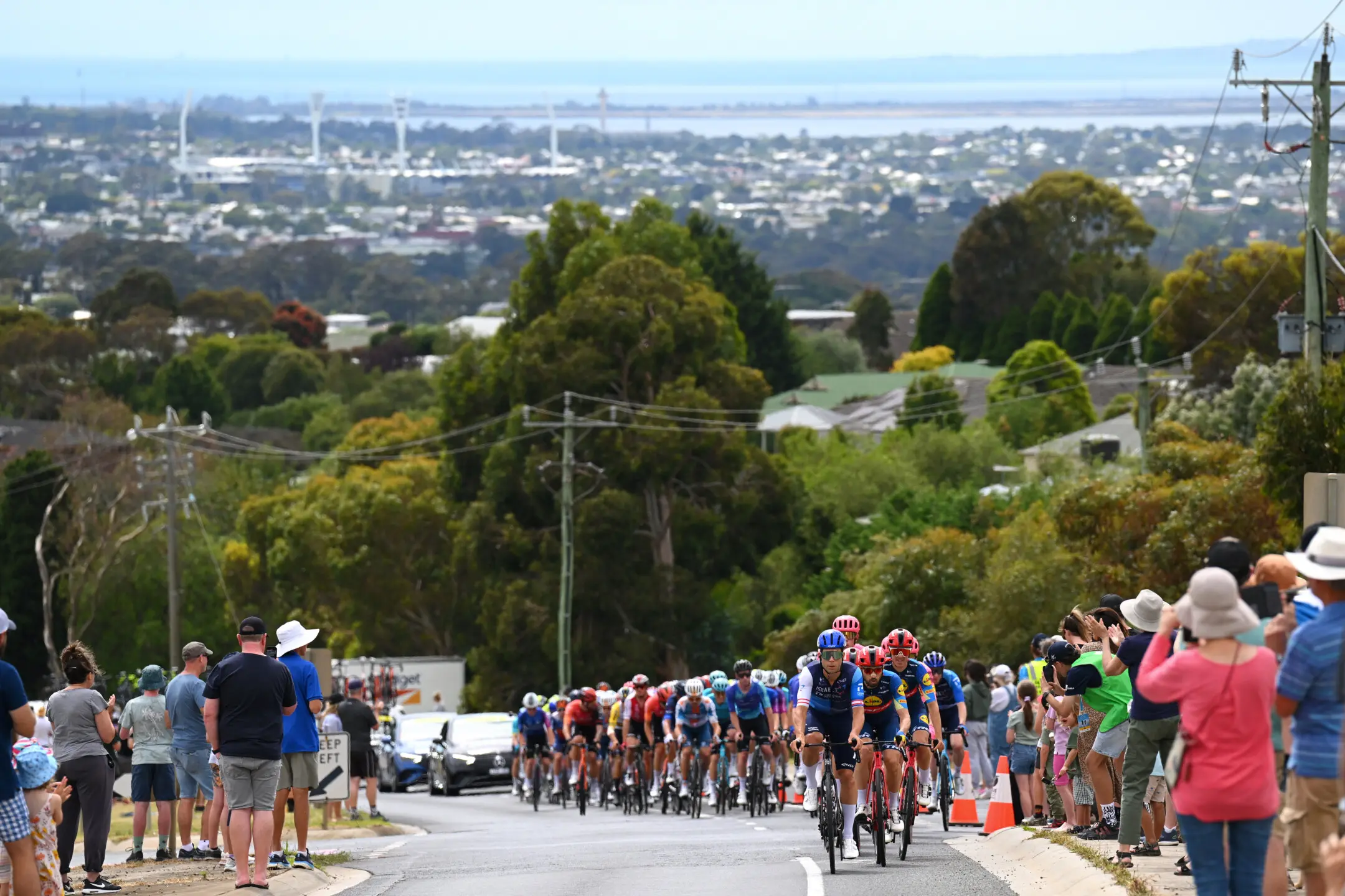 The peloton is climbing the hill with a general view of Geelong City in the background during the 8th Cadel Evans Great Ocean Road Race 2024
